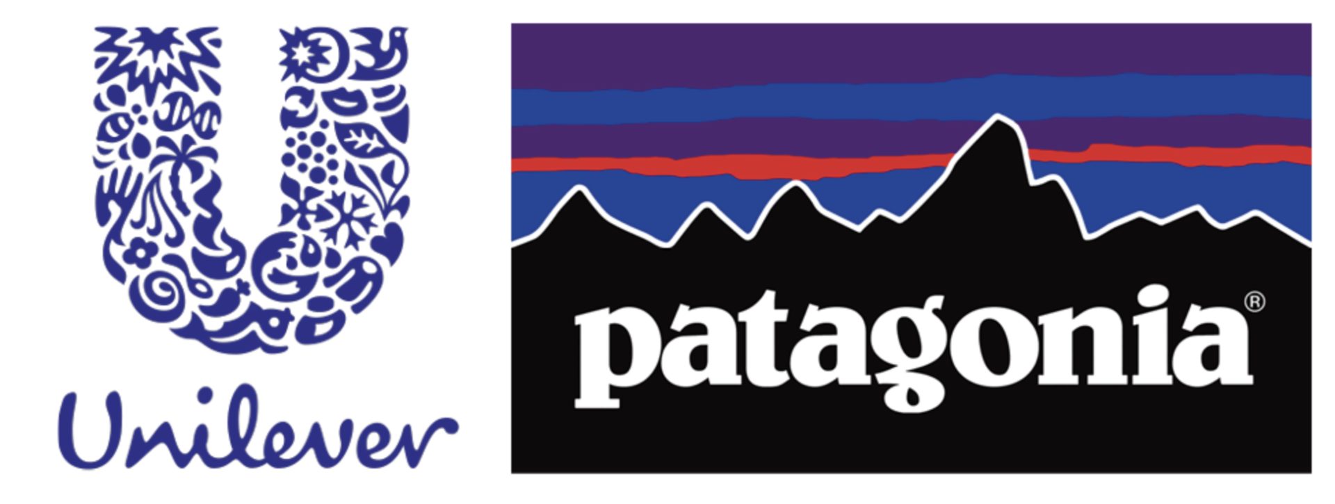 Patagonia unilever